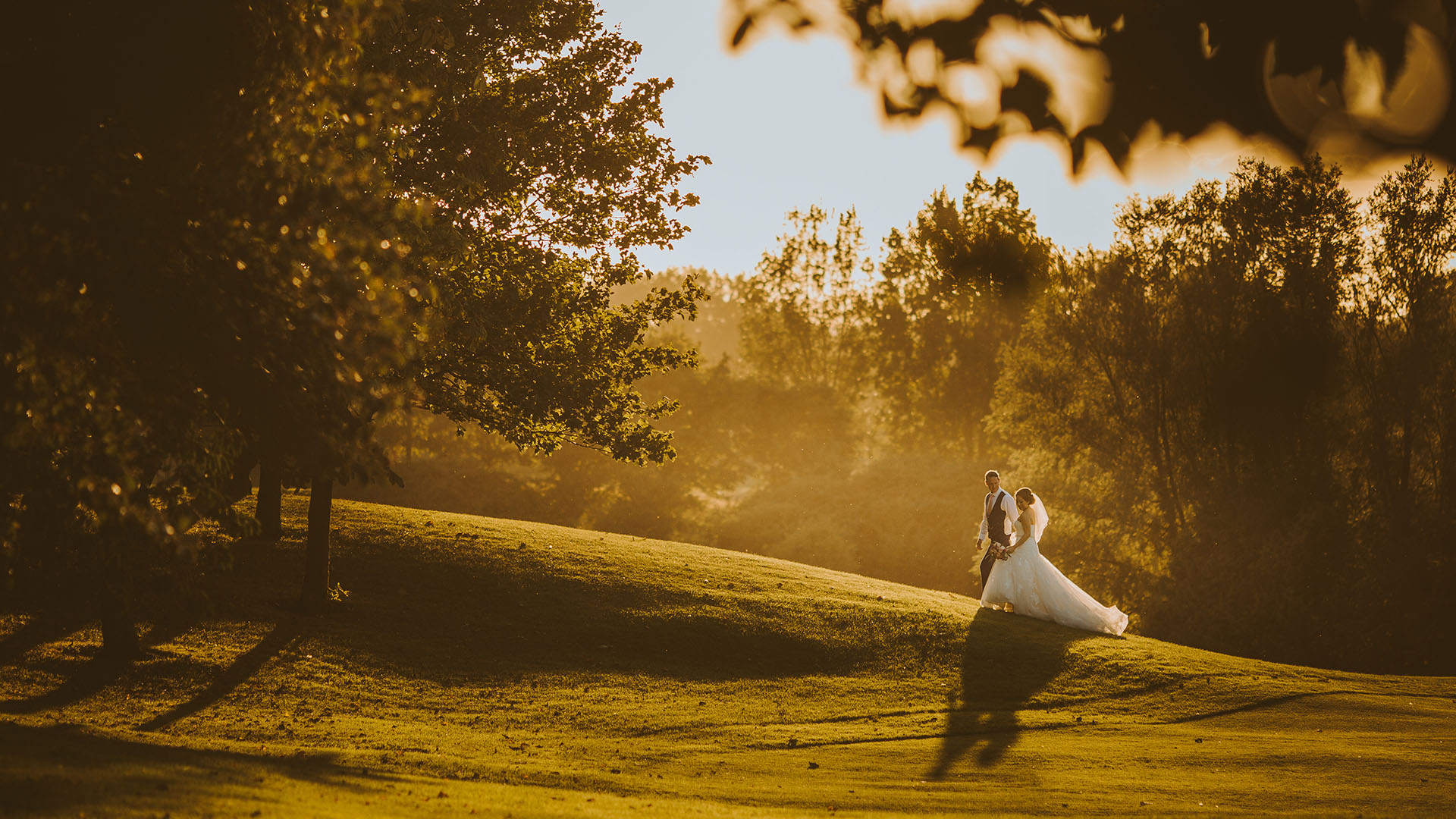 Portfolio Header Image